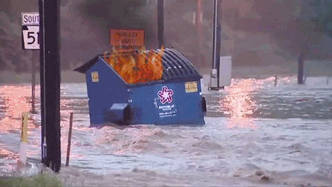 Dumpster Fire